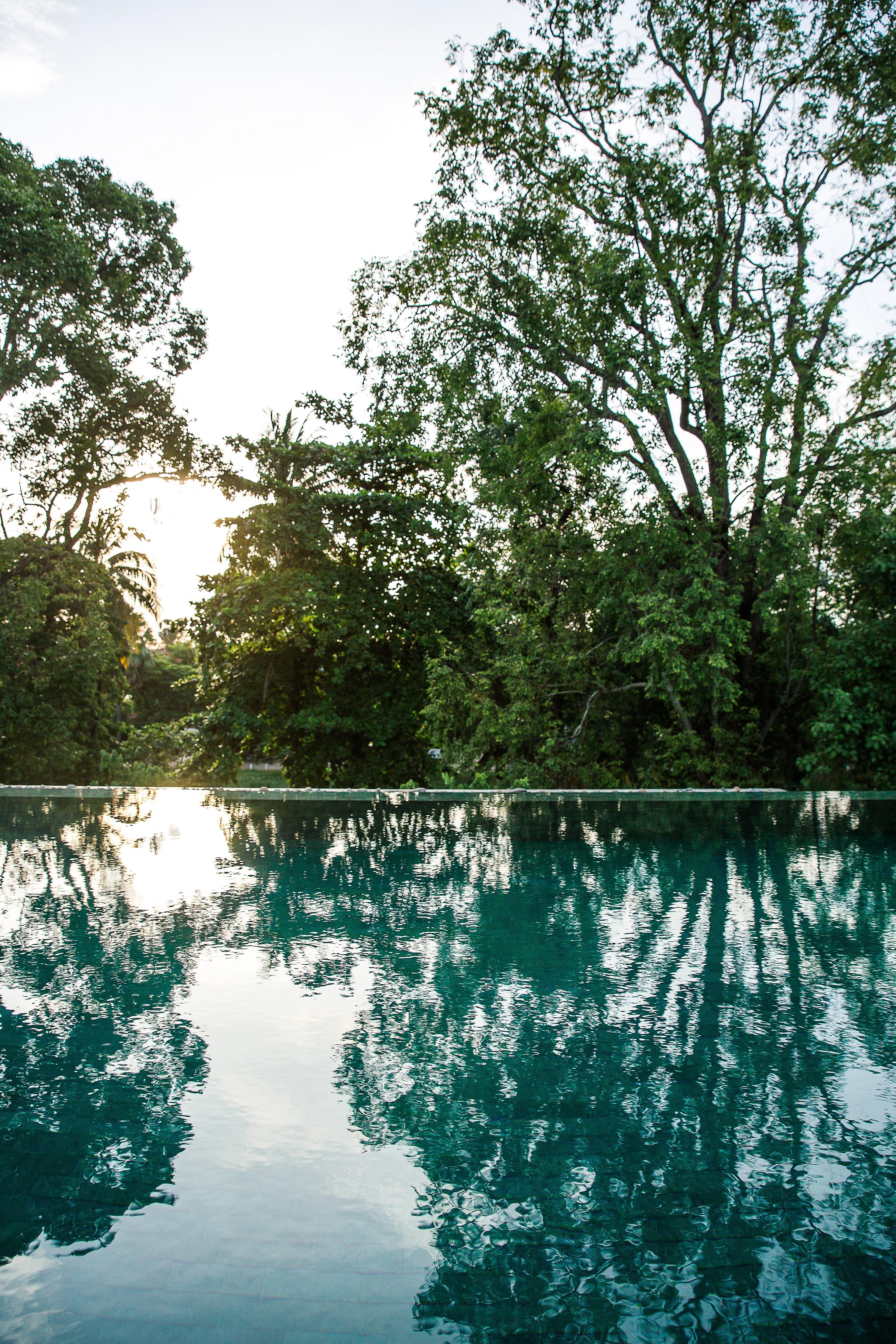 Treeline Urban Resort Σιέμ Ρέαπ Εξωτερικό φωτογραφία