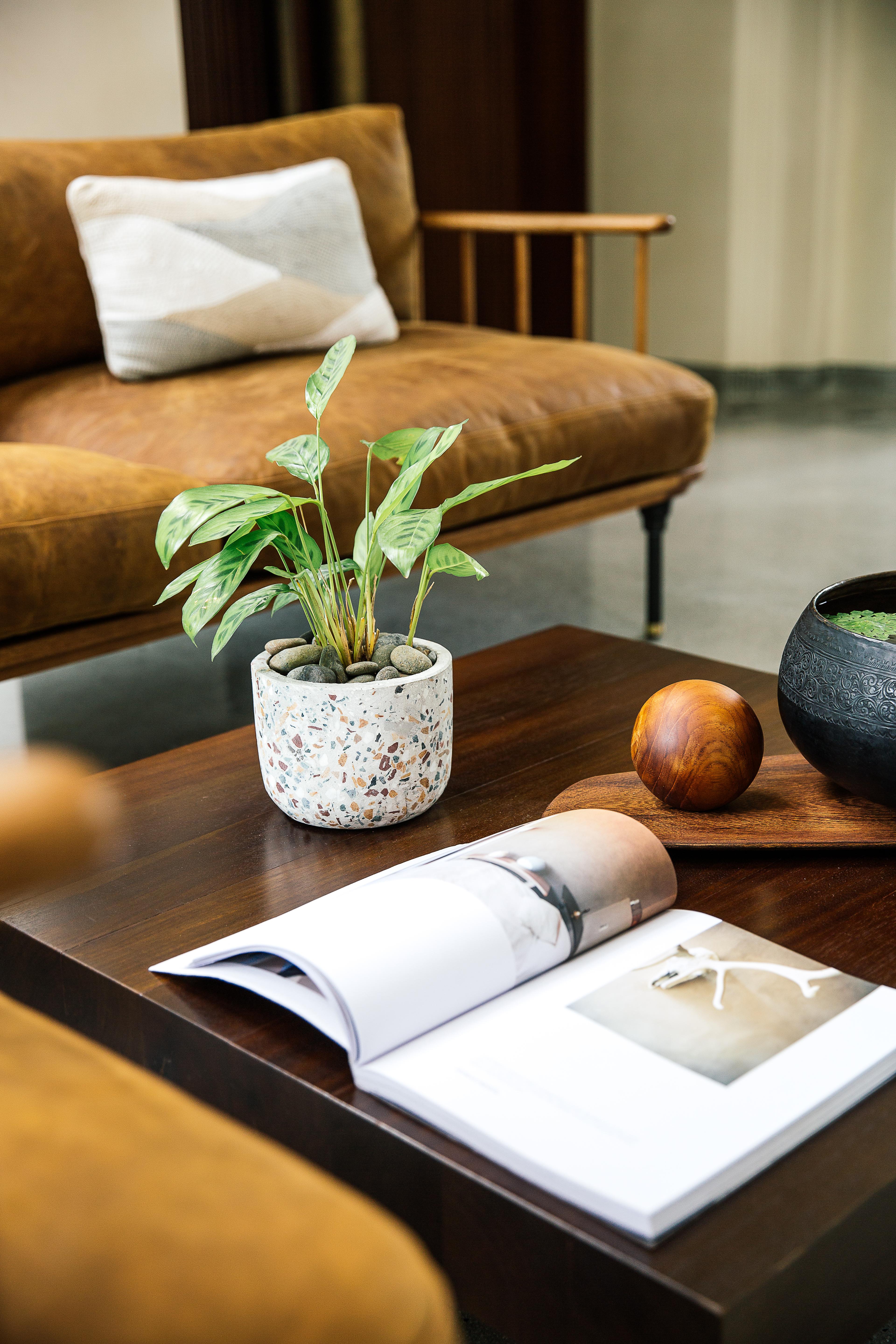 Treeline Urban Resort Σιέμ Ρέαπ Εξωτερικό φωτογραφία